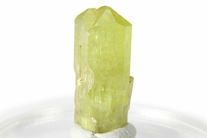 Gemmy Yellow-Green Apatite Crystal - Morocco #276557